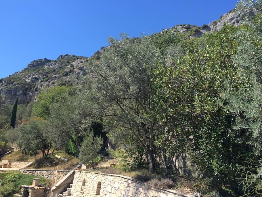 Appartement Sur La Colline Avec Acces Piscine Volx Kültér fotó