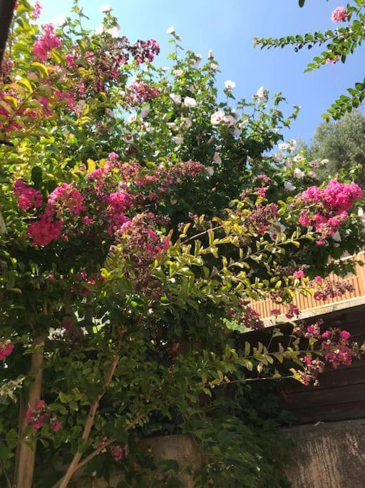 Appartement Sur La Colline Avec Acces Piscine Volx Kültér fotó