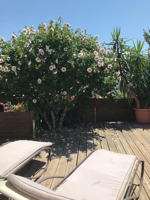 Appartement Sur La Colline Avec Acces Piscine Volx Kültér fotó